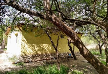 Oportunidad: Casa en Venta en Achiras · 2 dorm · 1.089 m² de lote - Imagen 4