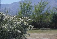 Excelente Casa en Achiras en Venta · 3 dorm · 4.200 m² de lote - Imagen 4