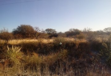 Terreno en Venta en San Luis, · frente 12 m · largo 130 m · 150 m² de lote · dueño directo - Imagen 2