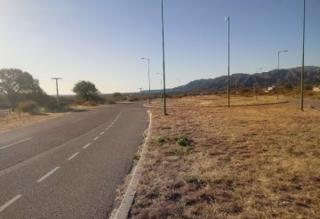 Terreno en Venta en San Luis, · frente 12 m · largo 130 m · 150 m² de lote · dueño directo - Imagen 4