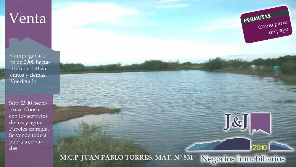 Campo disponible para la en Venta en San Luis · 2.900 ha - Imagen 1