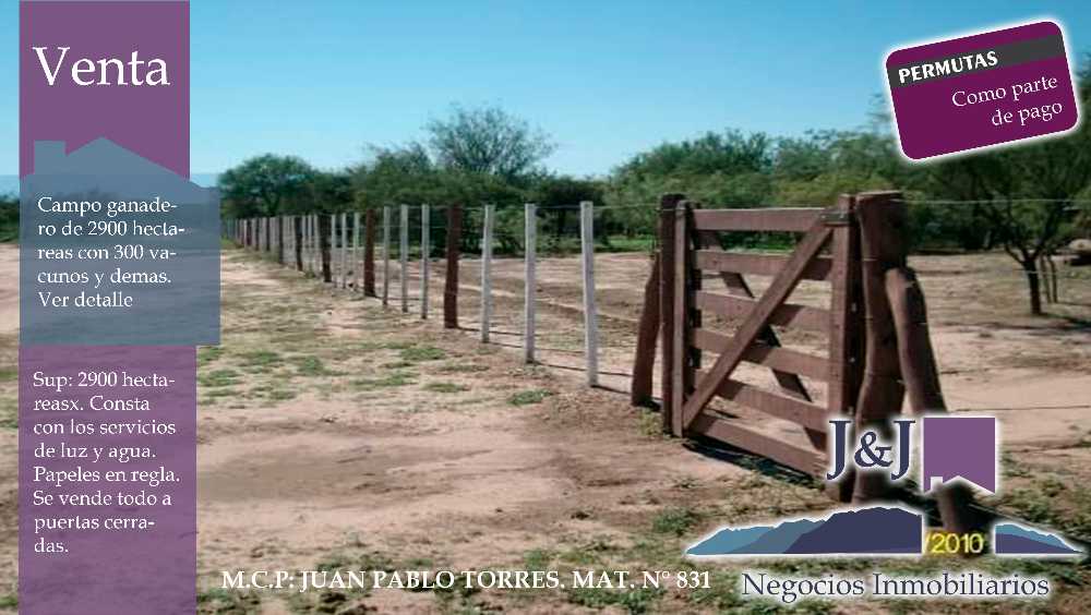 Campo disponible para la en Venta en San Luis · 2.900 ha - Imagen 2