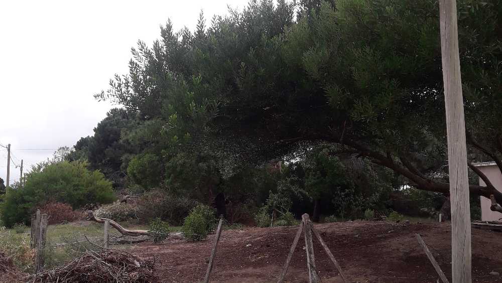 Terreno  Mar de Ajo - Imagen