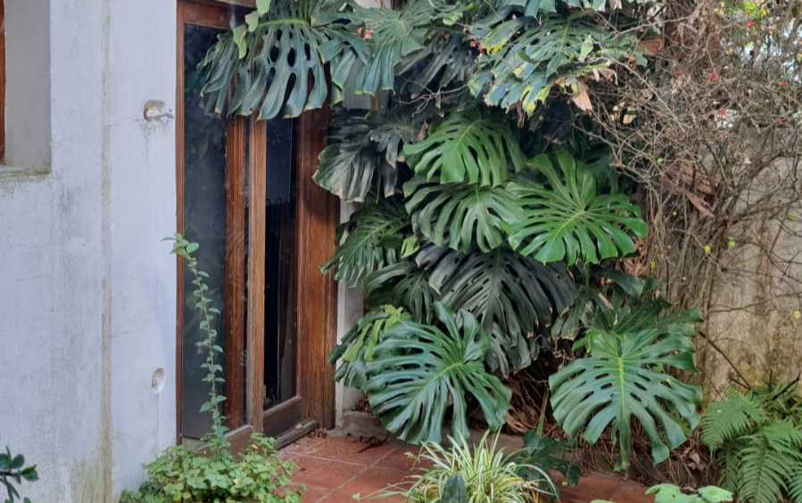 Casa Veronica - Imagen