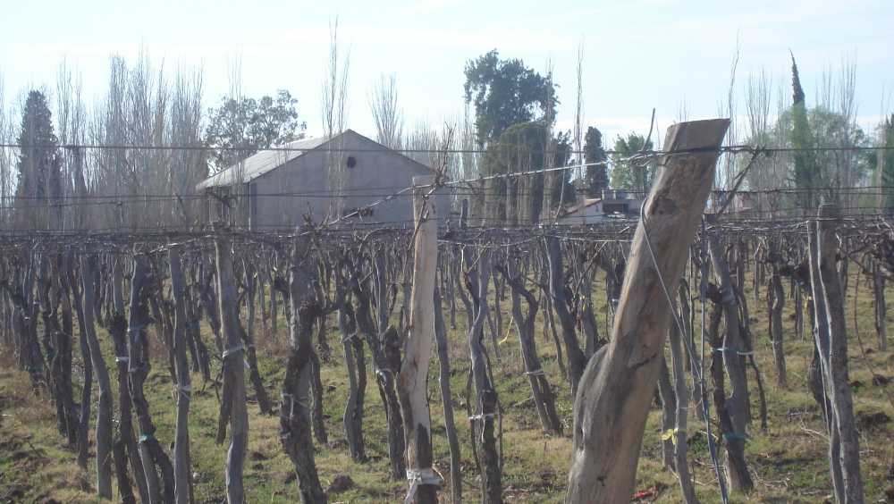 Campo  Las Heras - Imagen