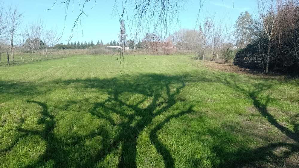 Excelente Terreno en Alvarez en Venta · frente 24 m · largo 57 m · 1.368 m² de lote · dueño directo - Imagen 1