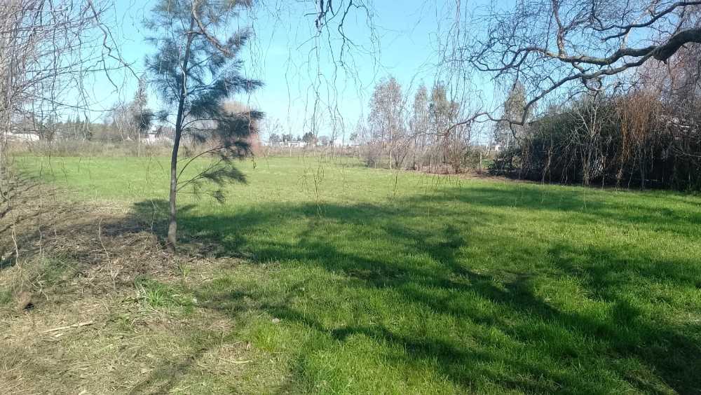 Excelente Terreno en Alvarez en Venta · frente 24 m · largo 57 m · 1.368 m² de lote · dueño directo - Imagen 5