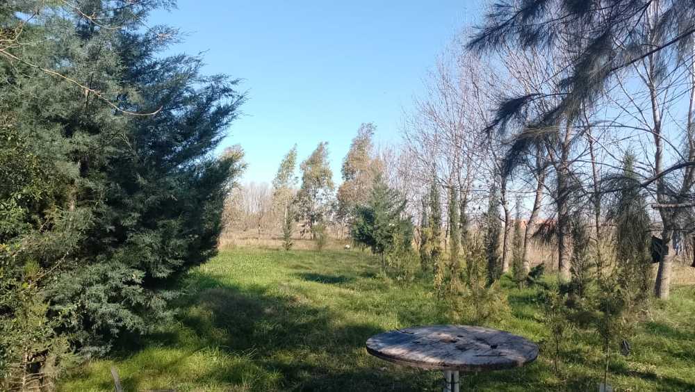 Comprar Terreno en Alvarez · frente 15 m · largo 57 m · 855 m² de lote · dueño directo - Imagen 1