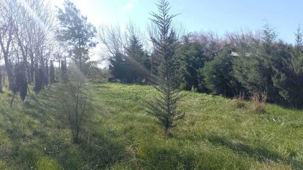 Comprar Terreno en Alvarez · frente 15 m · largo 57 m · 855 m² de lote · dueño directo - Imagen 2