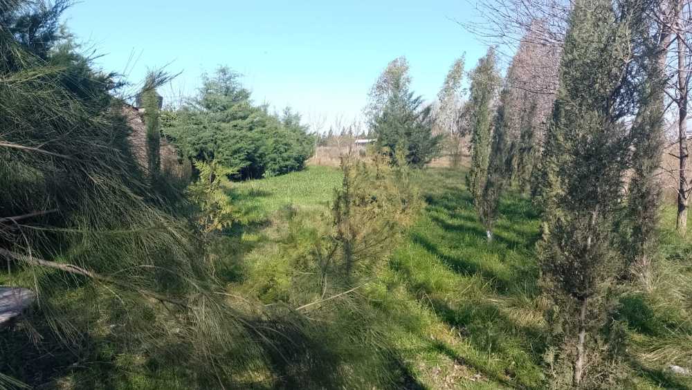 Comprar Terreno en Alvarez · frente 15 m · largo 57 m · 855 m² de lote · dueño directo - Imagen 4