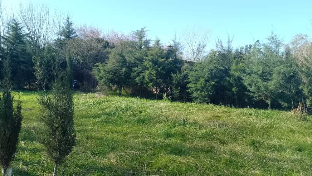 Comprar Terreno en Alvarez · frente 15 m · largo 57 m · 855 m² de lote · dueño directo - Imagen 5