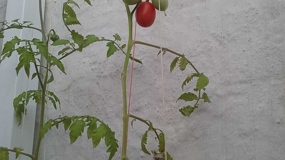 Casa Río Gallegos - Imagen