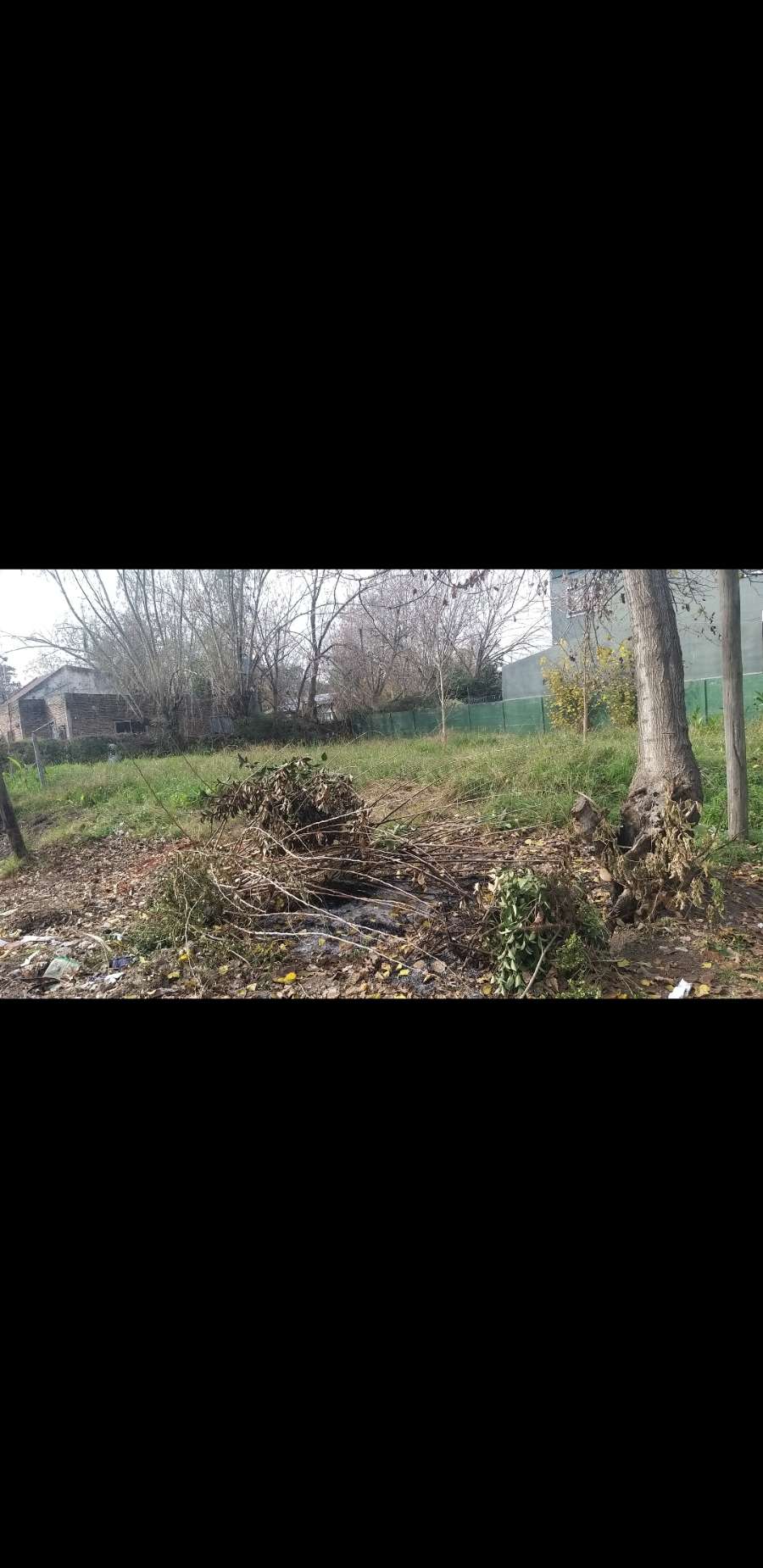 Belgrano esquina Solís , 