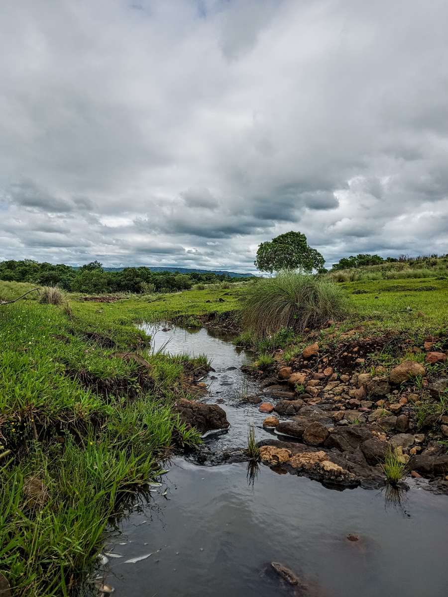 Campo  Posadas - Imagen
