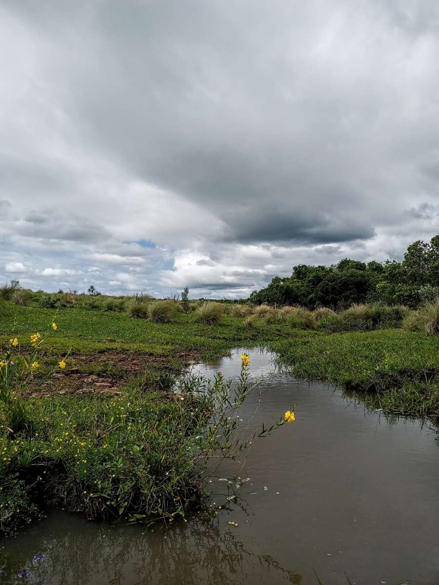 Campo único en Posadas en Venta · 25 ha - Imagen 2