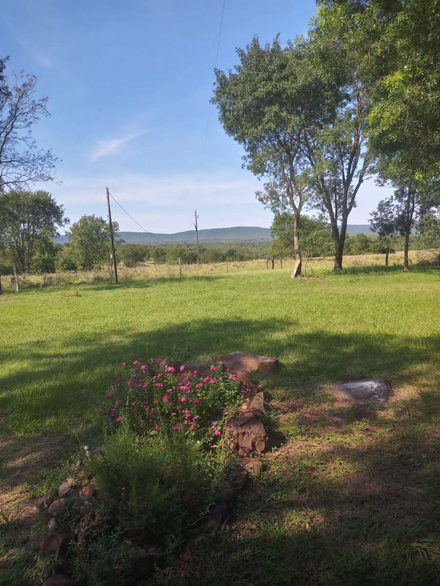 Campo  Posadas - Imagen