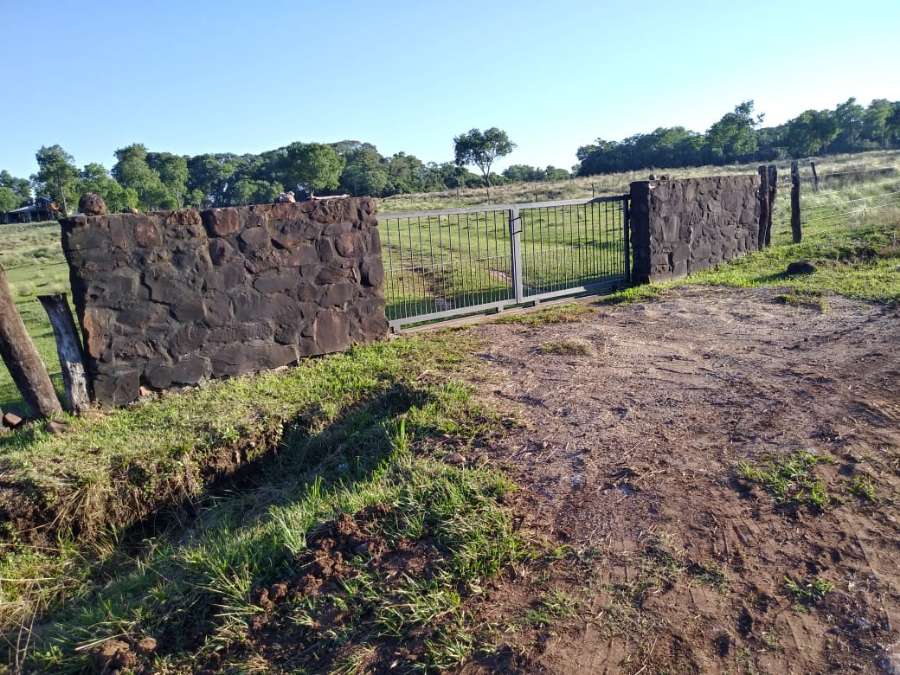 Campo  Posadas - Imagen