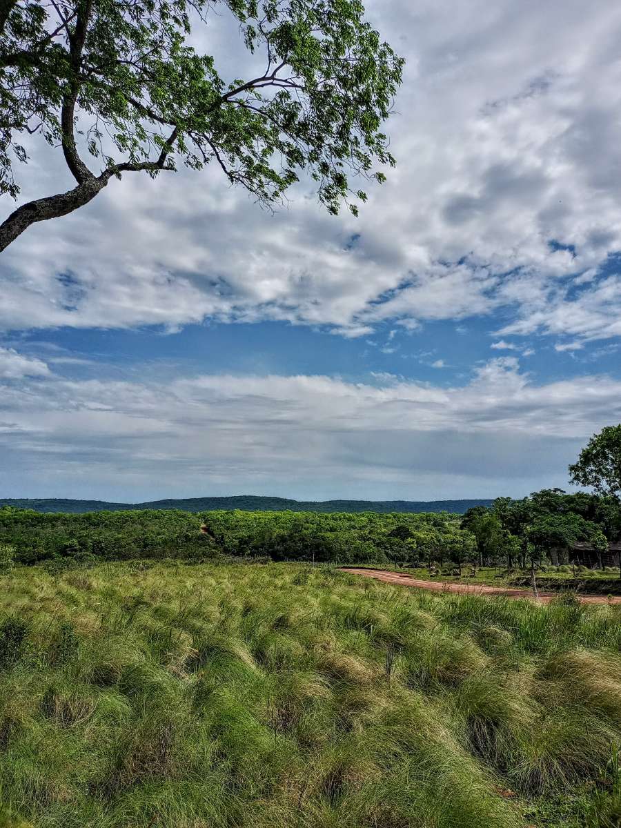 Campo  Posadas - Imagen