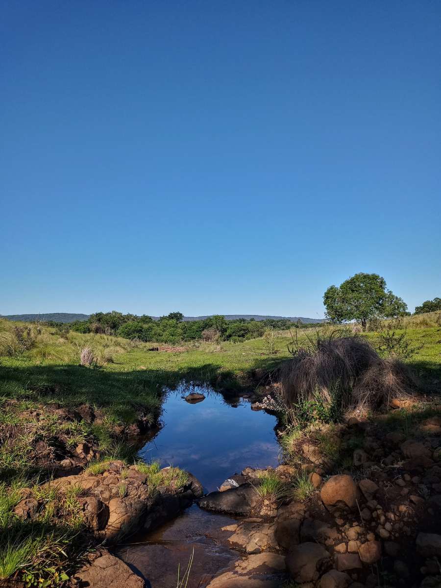 Campo  Posadas - Imagen