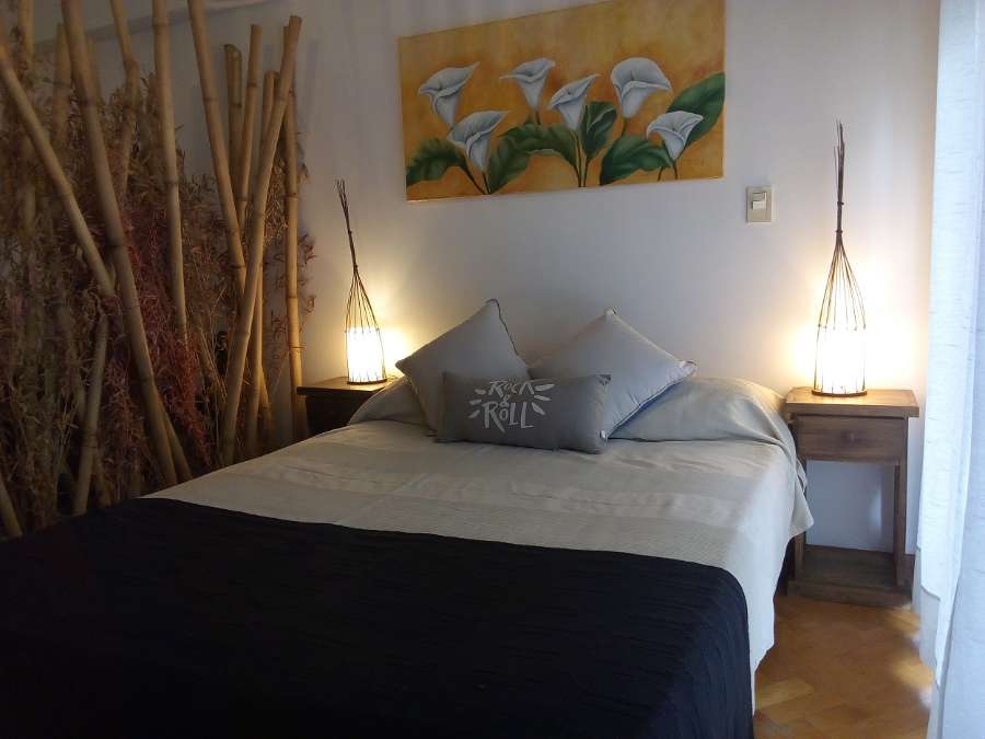 Departamento en Temporario en Palermo, · dueño directo · 1 dorm · 2 ambientes · 45 m² de lote - Imagen 2