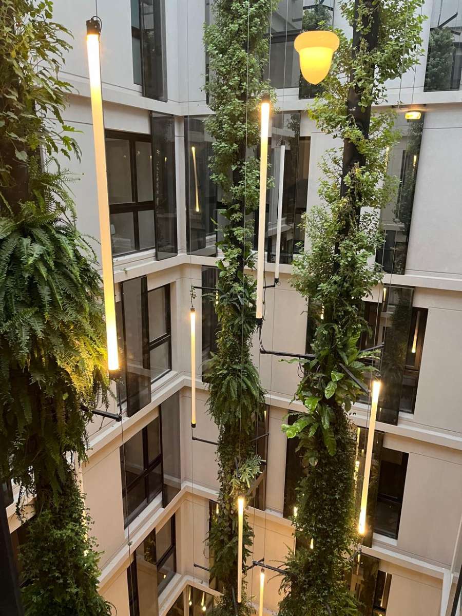 Departamento Belgrano - Imagen