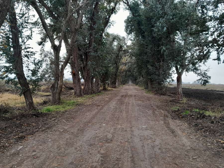 Se vende departamento Fatima - Imagen