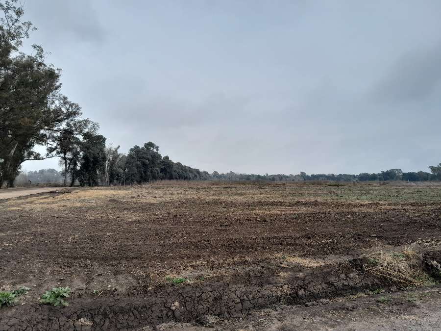 Se vende departamento Fatima - Imagen