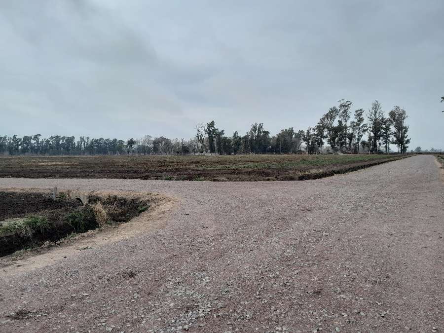 Se vende departamento Fatima - Imagen