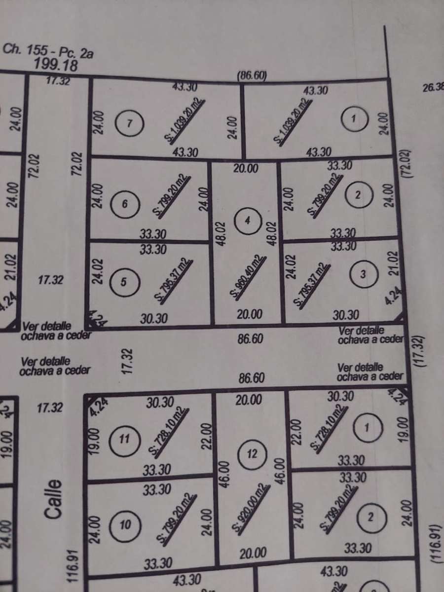 Excelente Campo en Nueve de Julio en Venta · dueño directo · 4 ha - Imagen 5