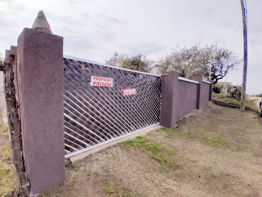 Francisco primero norte , 