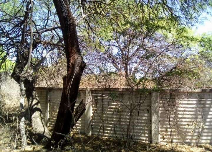 Campo en Venta Calle Publica Sin Número , San Marcos Sierra - Imagen 4