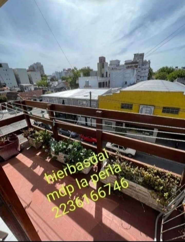 Departamento Mar del Plata - Imagen