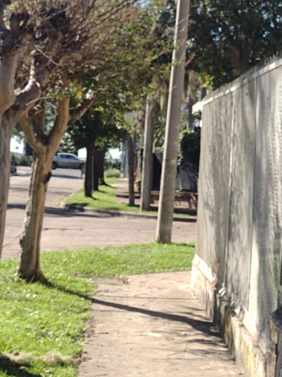 Casa Rosario - Imagen