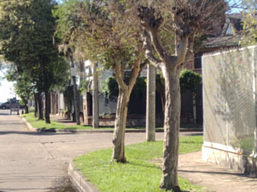 Casa Rosario - Imagen