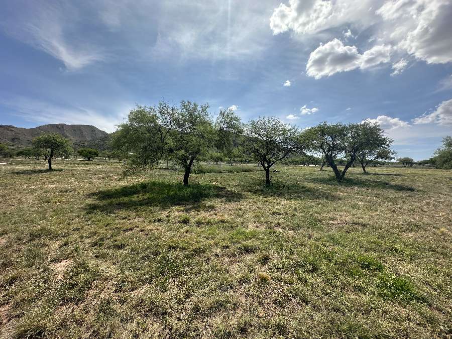 Terreno  Juana Koslay - Imagen