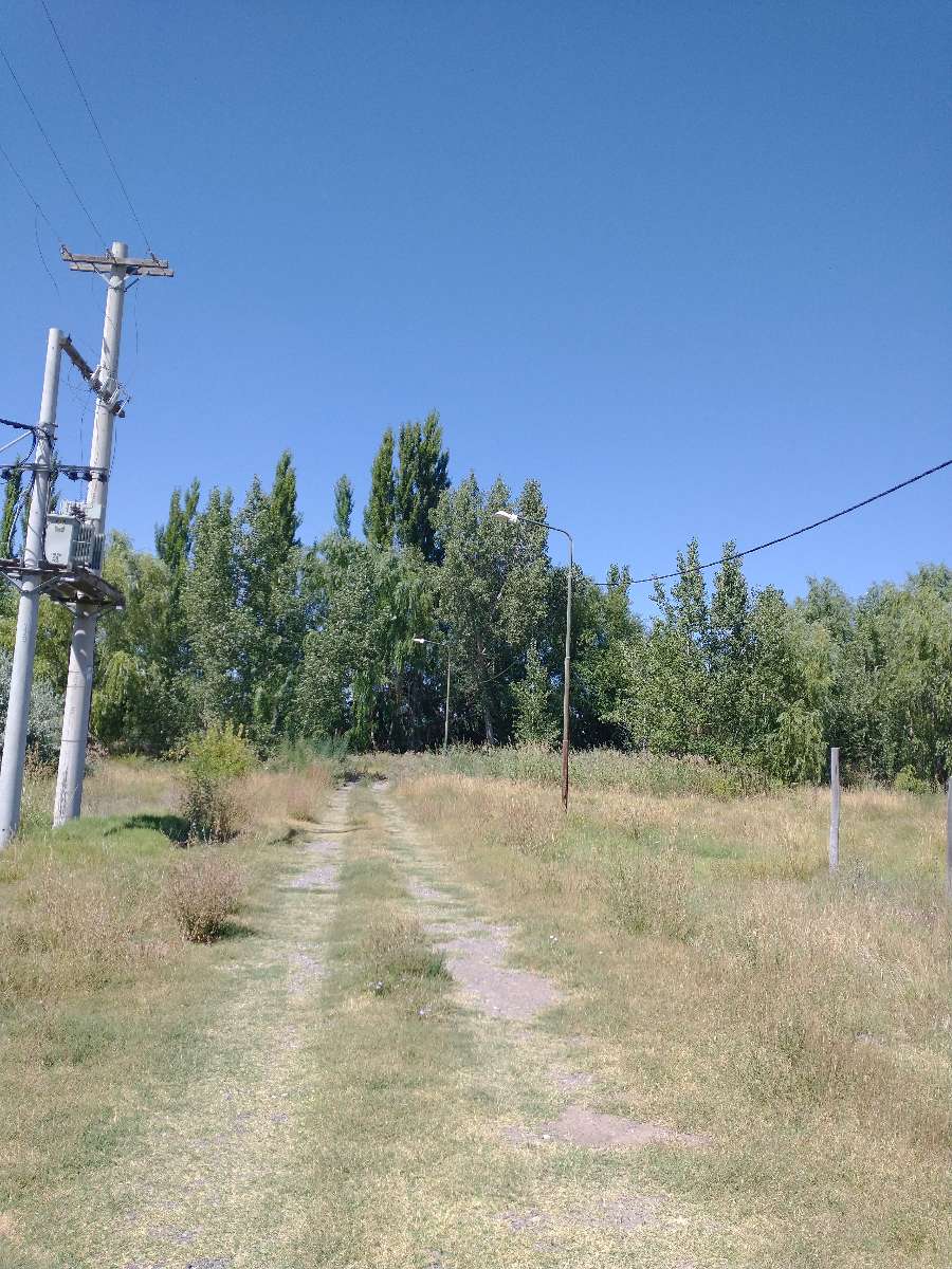 Terreno en Venta en Allen · frente 13 m · largo 30 m · 375 m² de lote · dueño directo - Imagen 3