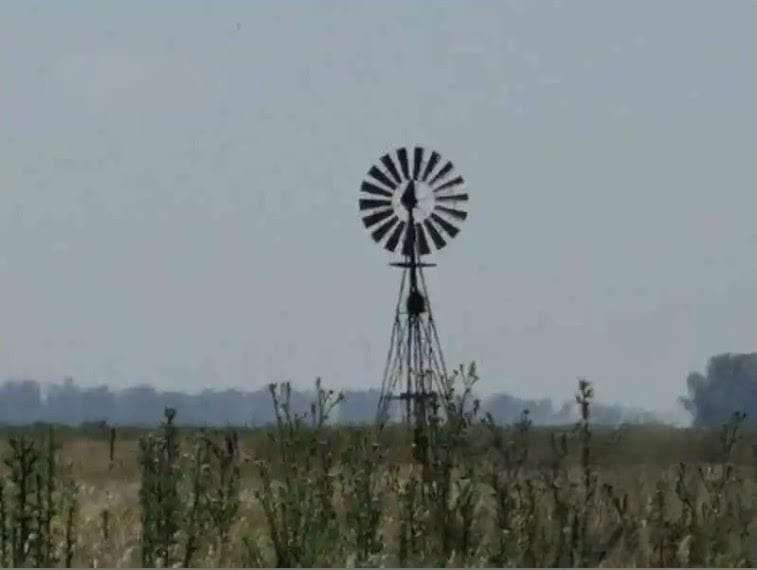 Campo en General Guido para en Venta · 223 ha - Imagen 4