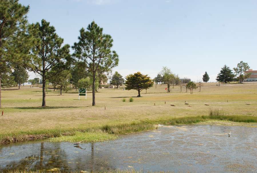 Lote en Venta Rps271, San Antonio de Arredondo - Imagen 11