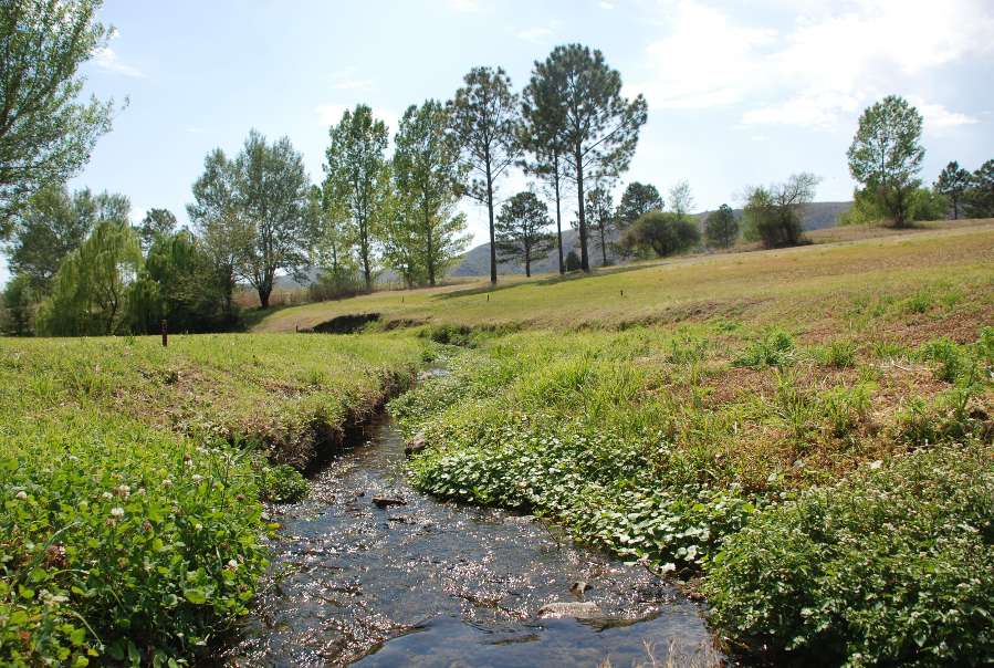 Lote en Venta Rps271, San Antonio de Arredondo - Imagen 12