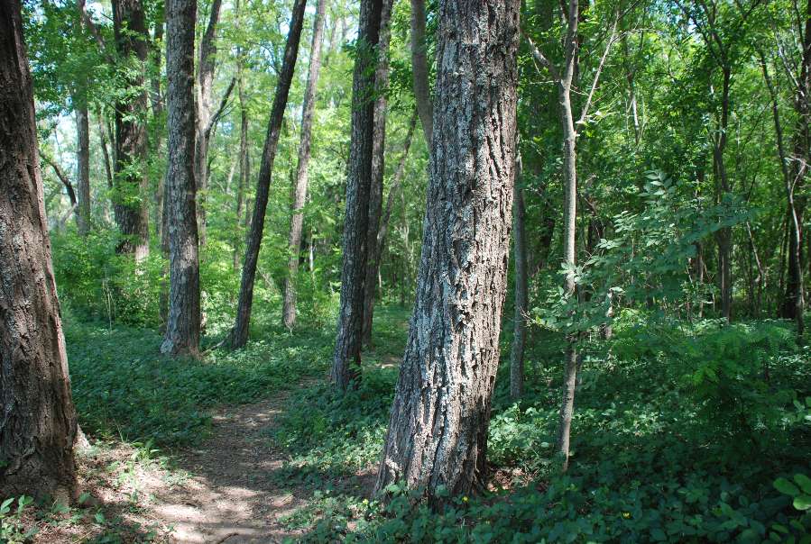 Lote en Venta Rps271, San Antonio de Arredondo - Imagen 13