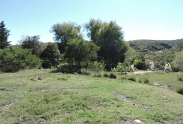Campo en Venta Pampa De Tamboreo, San Luis - Imagen 8