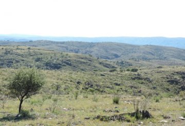Campo en Venta Pampa De Tamboreo, San Luis - Imagen 6