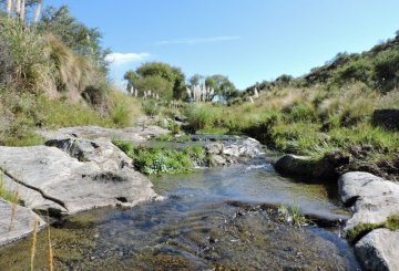 Campo disponible para la en Venta en San Luis · 44 ha - Imagen 2