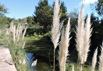 Campo en Venta Pampa De Tamboreo, San Luis - Imagen 10