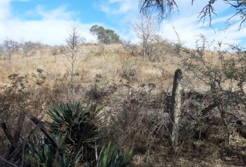 Casa disponible para la en Venta en Villa Anizacate · 2 dorm · cochera · 754 m² de lote - Imagen 3