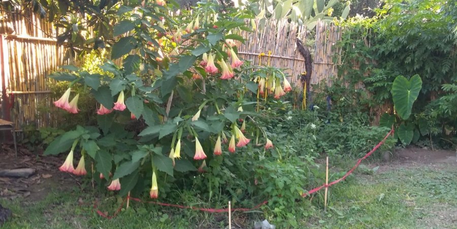 Casa Chumbicha - Imagen