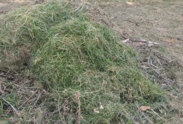 Terreno único en Mar del Plata en Venta · frente 15 m · largo 33 m · 506 m² de lote · dueño directo - Imagen 5