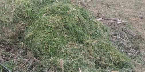 Terreno  Mar del Plata - Imagen