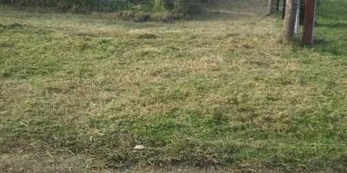 Terreno  Mar del Plata - Imagen