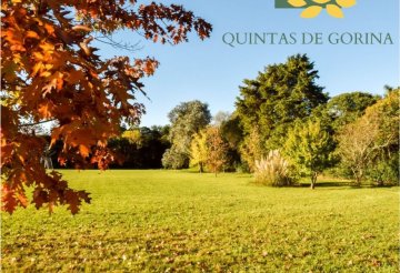 Calle 483 (Joaquín Gorina), 